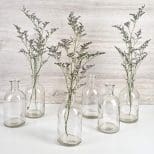 A group of six glass vases with plants in them.