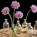 A table with vases and flowers on it