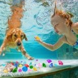 A girl and her dog swimming in the pool