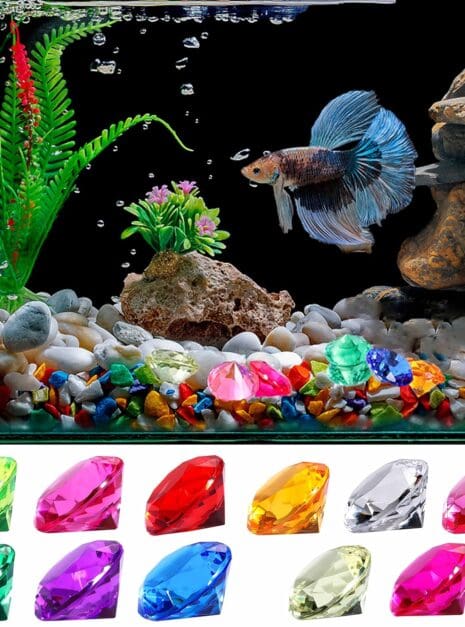 91kbU5WfzjL._AC_SL1500_ A fish tank with many different colored rocks