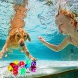 A boy and his dog swimming in the water.